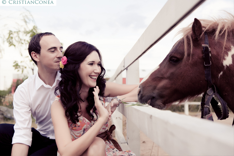 fotografii de logodna, ponei, ferma, camp
