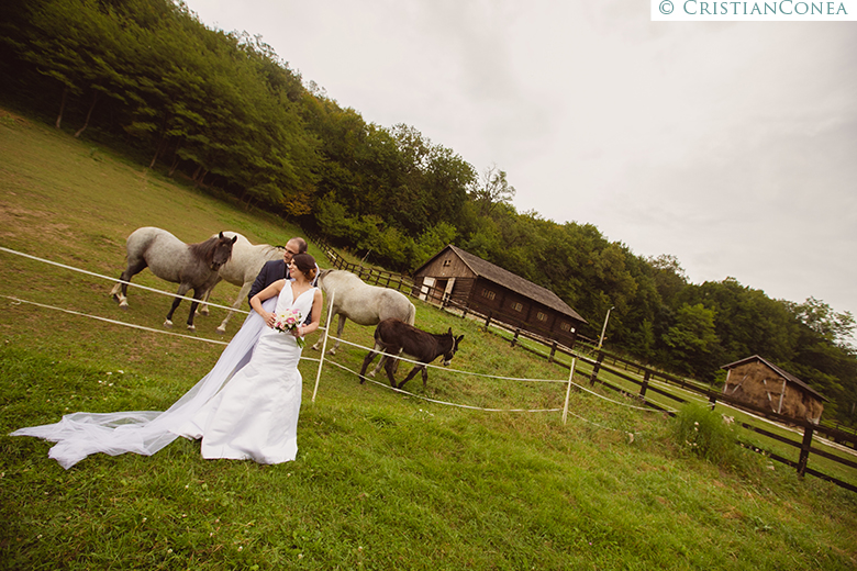 fotografii nunta medias © cristian conea (58)