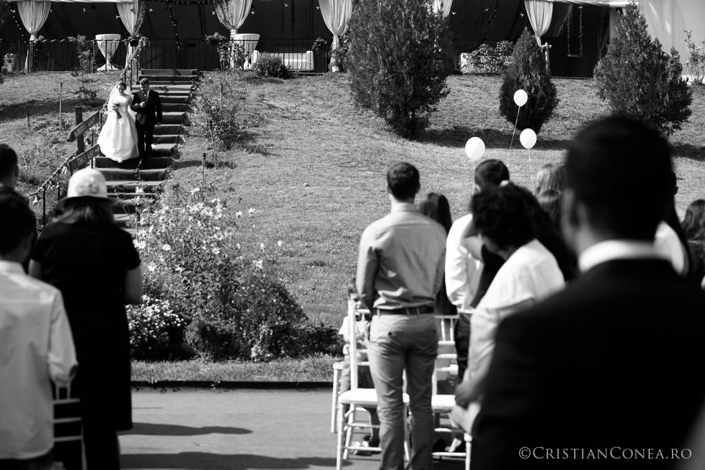 fotografii-nunta-cristian-conea-53