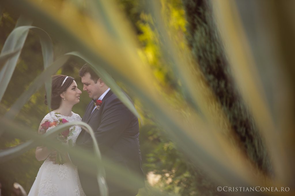 fotografii-nunta-cristian-conea-62